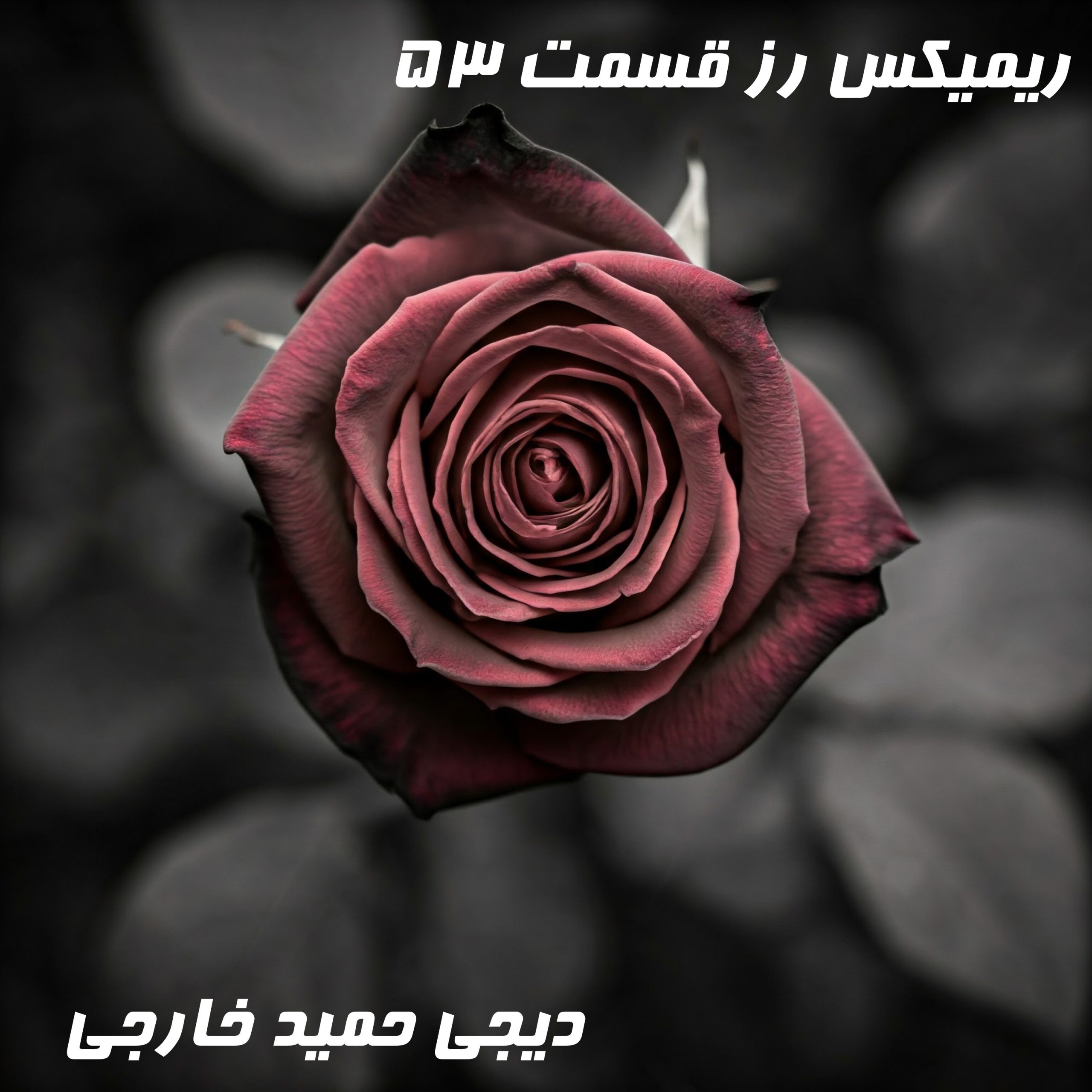 رُز قسمت ۵۳