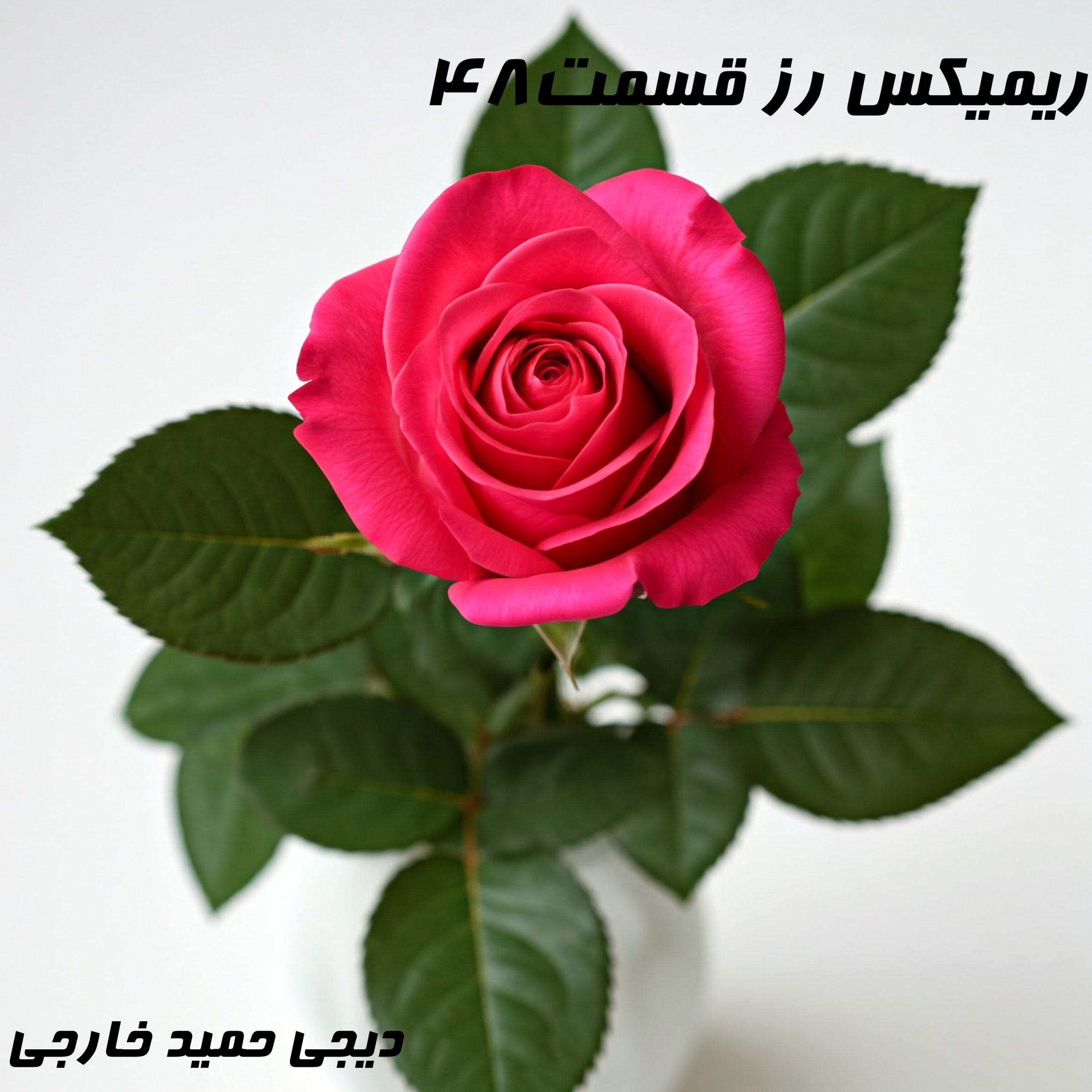 رُز قسمت ۴۸