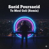 دانلود ریمیکس جدید و شاد «تو مثل گلی» از سعید پورسعید
