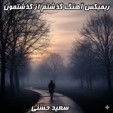 دانلود ریمیکس آهنگ گذشتم از گذشتمون سعید حسنی