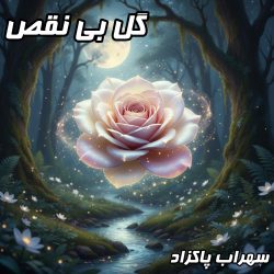 دانلود آهنگ فوق‌العاده احساسی «گل بی نقص» از سهراب پاکزاد + متن