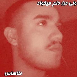 طاهاس - ولی من دلم میخواد (کيفيت عالی و متن ترانه اصلی)