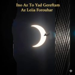 دانلود آهنگ خاطره انگیز «اینو از تو یاد گرفتم» با صدای زیبای لیلا فروهر 💃